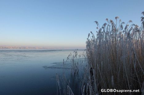 Postcard Winter