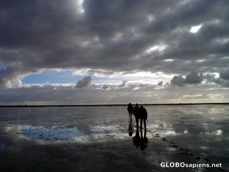 Walking on the wadden-sea during low tide