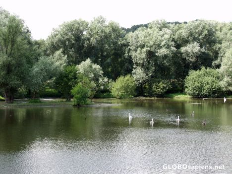 Postcard Eijsder Beemden