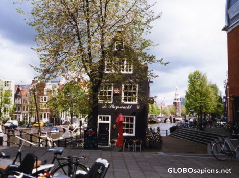 Postcard Near RembrandtHuis