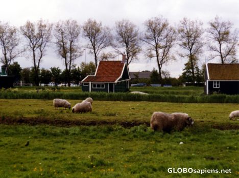Postcard Zaanse Schans Open-air Museum
