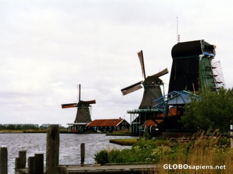 Postcard Zaanse Schans Open-air Museum