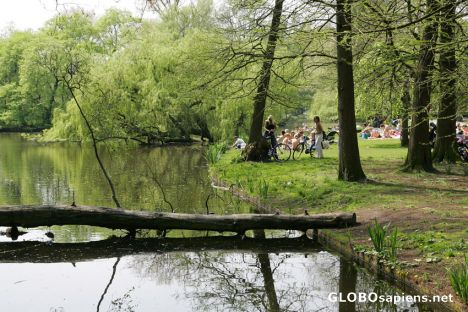Postcard Vondelpark