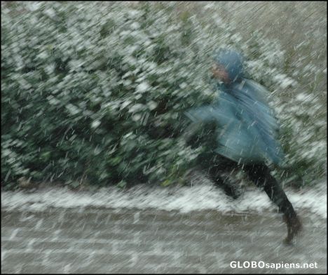 Postcard Snow in Amersfoort