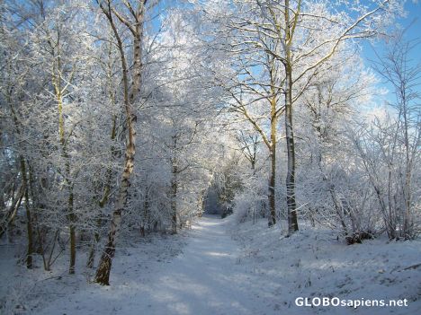 Postcard Winterfoto