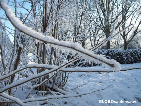 Postcard Winterfoto