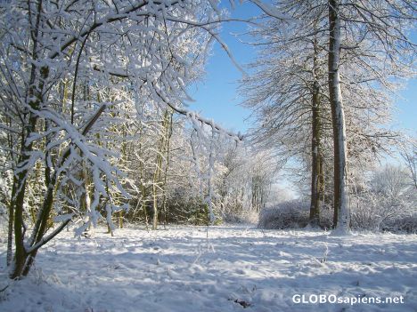 Postcard Winterfoto