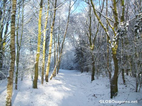 Postcard Winterfoto