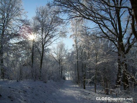 Postcard Winterfoto