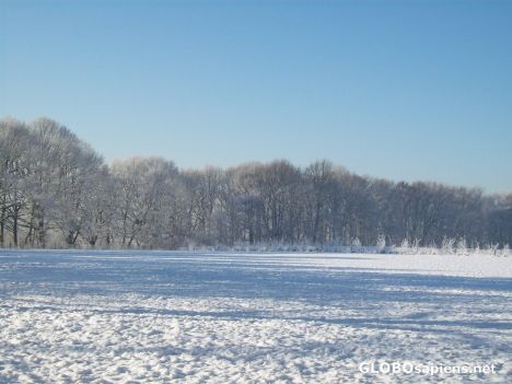 Postcard Winterfoto