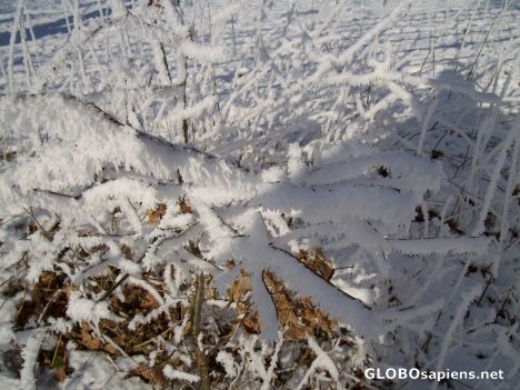 Postcard Winterfoto