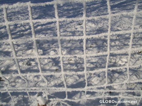 Postcard Winterfoto