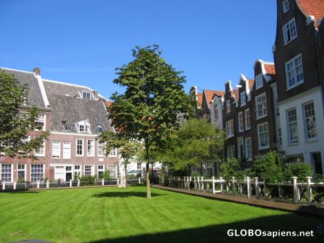Postcard A Yard in Central Amsterdam