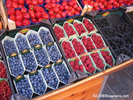 Postcard Fruit Stall