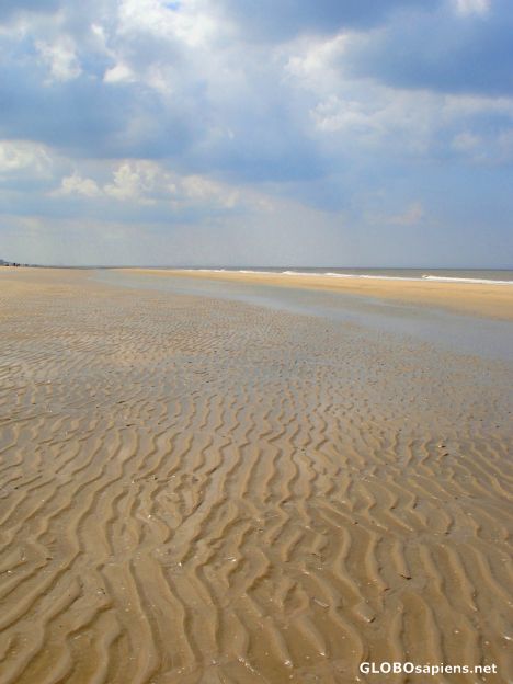 Postcard Low tide