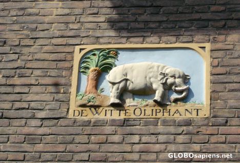 Postcard The white elephant -