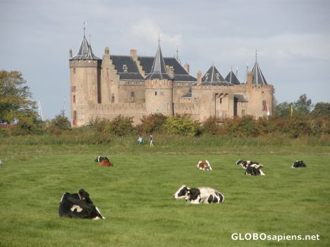 Postcard Muiderslot Castle