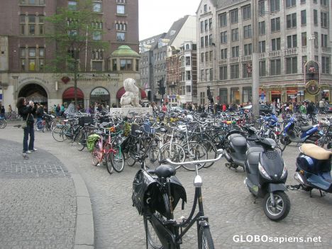 Postcard City of bicycles