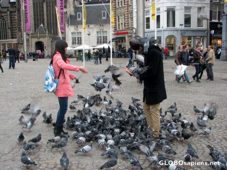 Postcard Dam Square
