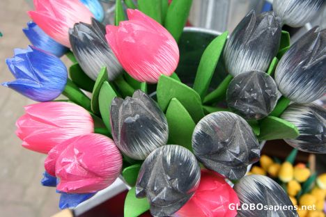 Postcard Wooden Tulips