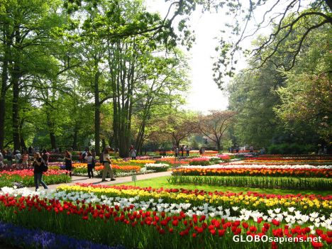 Postcard of the most beautiful gardens in the world