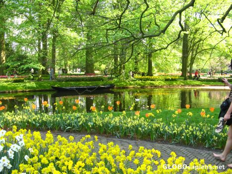 Postcard a boat and tulips view