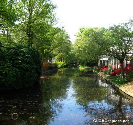 Postcard keukenhof park-3