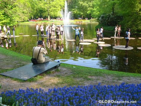 Postcard keukenhof park-4