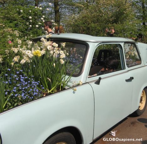 Postcard flower ornamented car