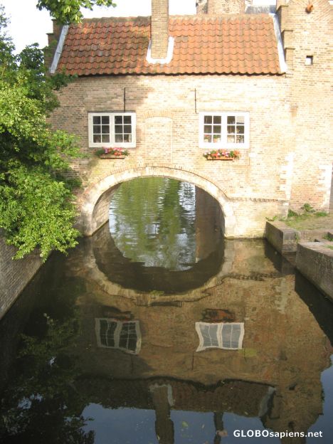 Postcard the reflection