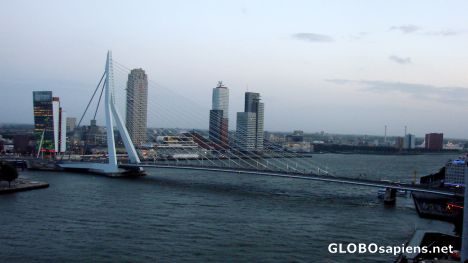 Erasmus Bridge