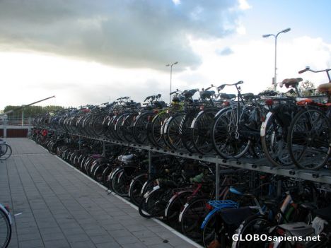 Postcard Bicycles in Delft
