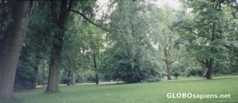 Postcard Vondelpark, Amsterdam