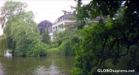 Postcard The many abodes and willow trees in city center