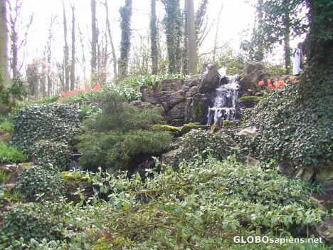 Postcard Keukenhof (Lisse):flowershow