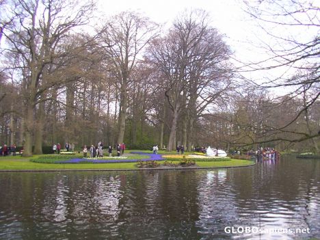 Postcard Keukenhof (Lisse):flowershow
