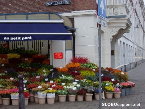 Postcard Flowershop