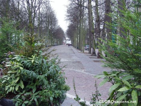 Postcard Lange Voorhout