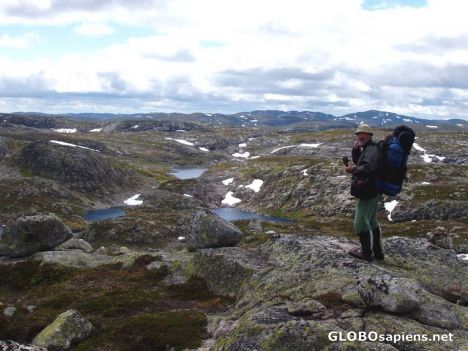 Postcard I am hiking in the Norwegian Heine