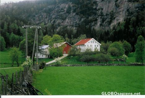 Postcard The farm called 