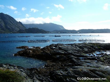 Postcard Lofot Islands 3
