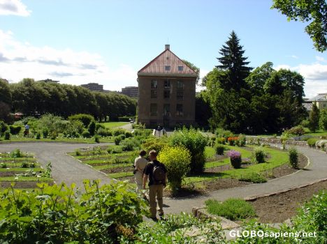 Postcard botanic garden