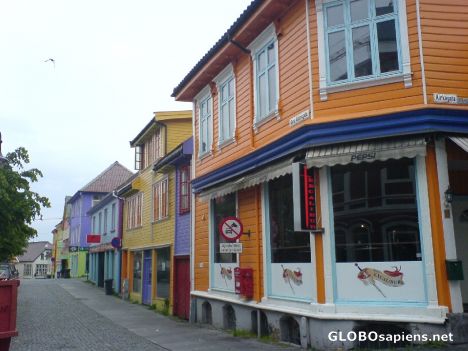 Postcard The Hippie Street