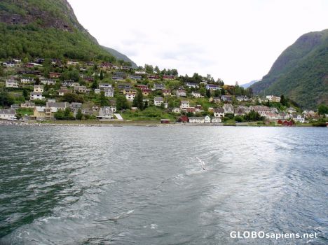 Postcard Flam