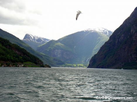 Postcard Fjord tour from Flam to Gudvangen