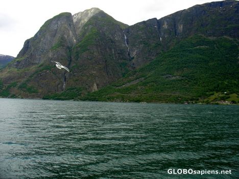 Postcard Fjord tour from Flam to Gudvangen