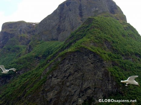 Postcard Fjord tour from Flam to Gudvangen