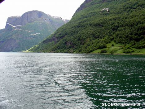 Postcard Fjord tour from Flam to Gudvangen