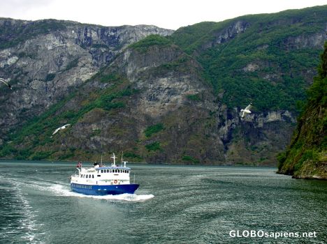 Postcard Fjord tour from Flam to Gudvangen