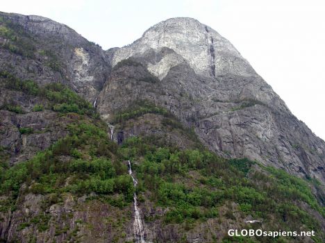 Postcard Fjord tour from Flam to Gudvangen